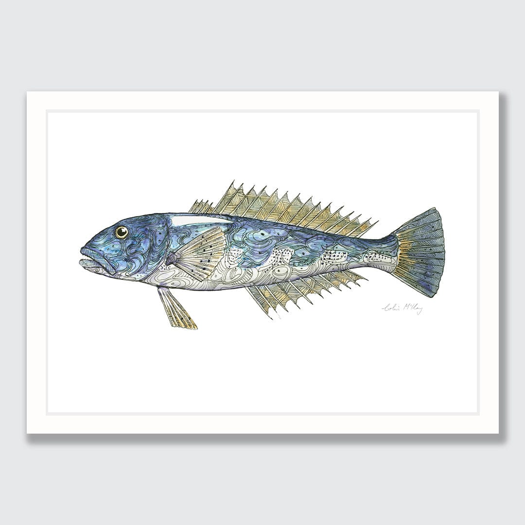 &#39;Billy&#39; Blue Cod Art Print by Colin McKay