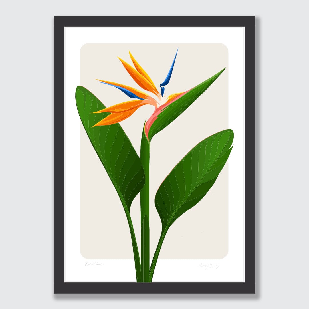 Bird of Paradise - Strelitzia Art Print by Cathy Hansby