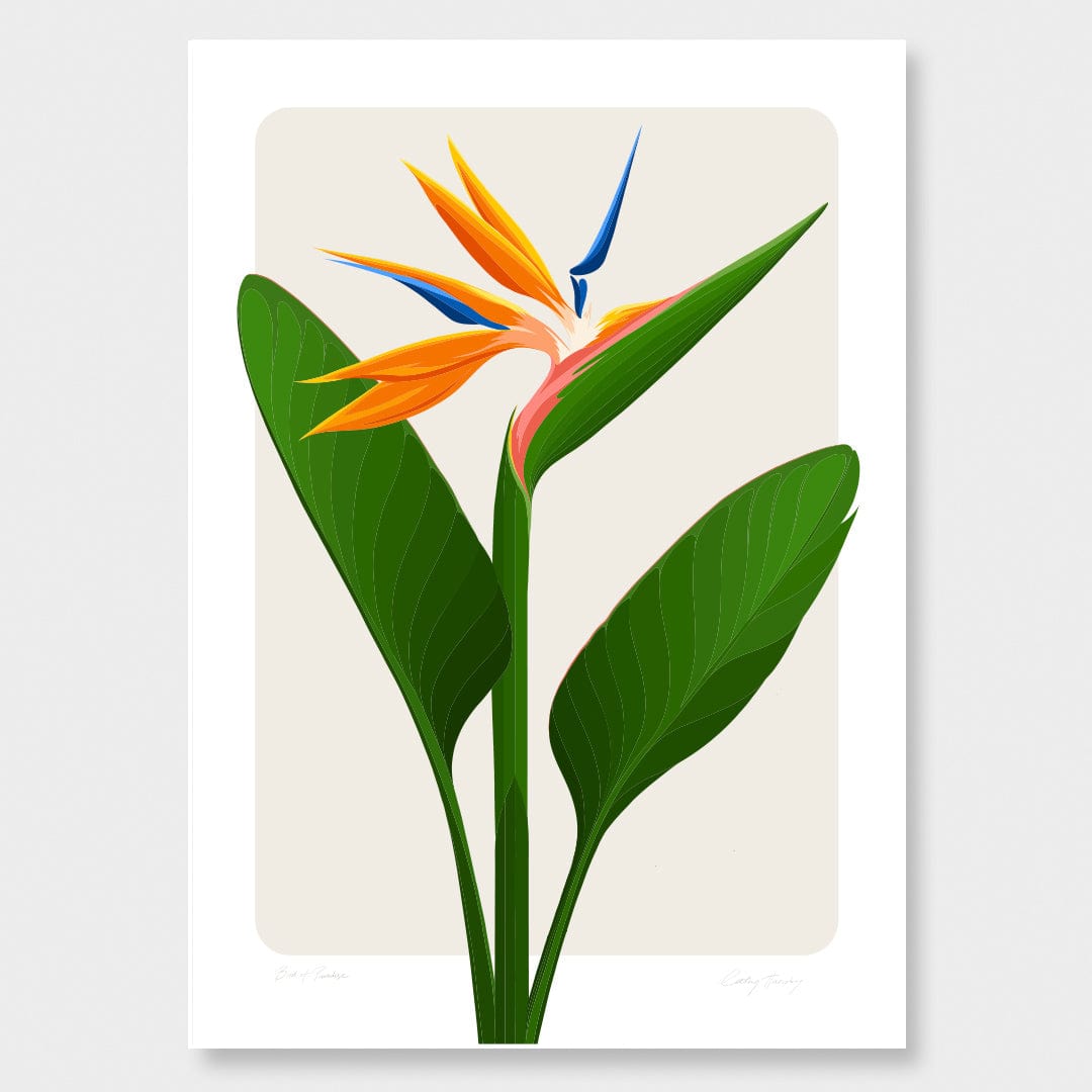 Bird of Paradise - Strelitzia Art Print by Cathy Hansby