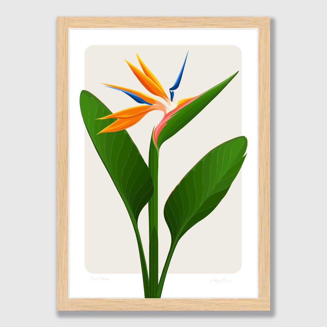 Bird of Paradise - Strelitzia Art Print by Cathy Hansby