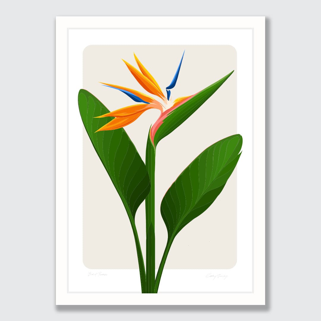 Bird of Paradise - Strelitzia Art Print by Cathy Hansby