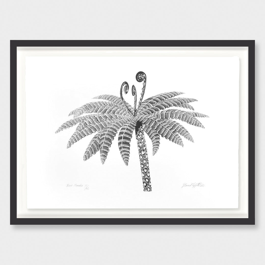 Black Mamaku Limited Edition Screen Print by Daniel Tippett