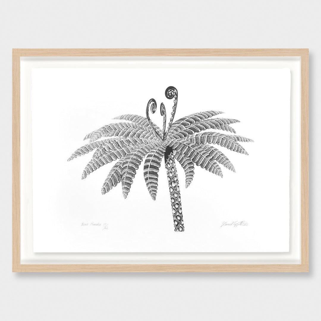 Black Mamaku Limited Edition Screen Print by Daniel Tippett