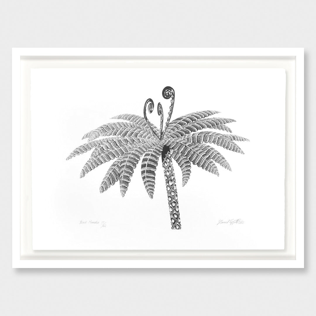 Black Mamaku Limited Edition Screen Print by Daniel Tippett