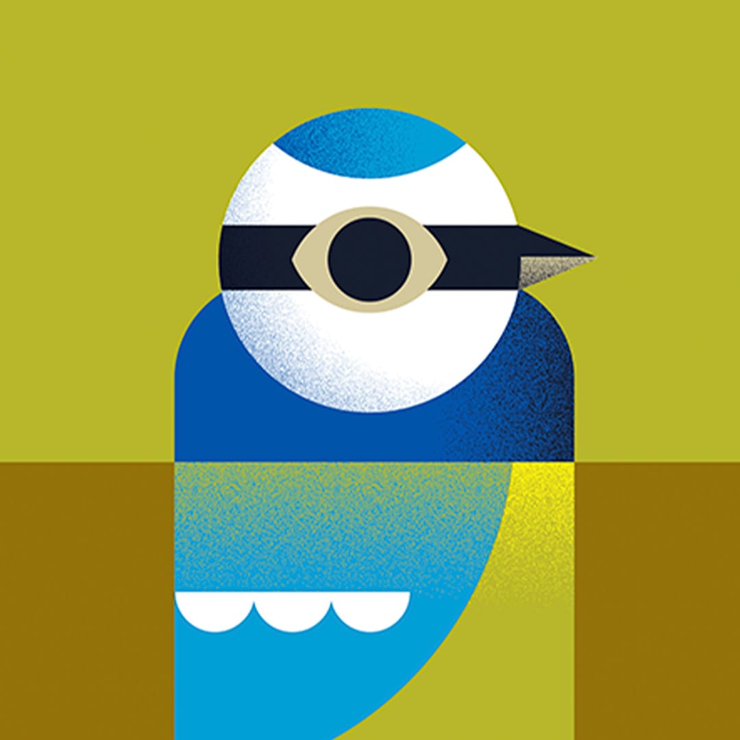 Blue Tit Art Print by Beth Xia