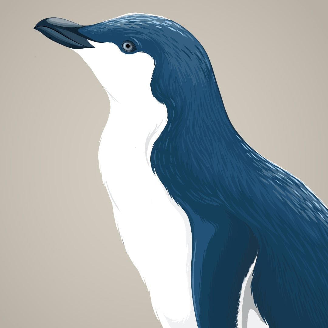 Blue Penguin / Kororā Art Print by Cathy Hansby
