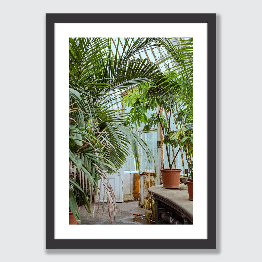 Botanical Photographic Print by Amy Wybrow