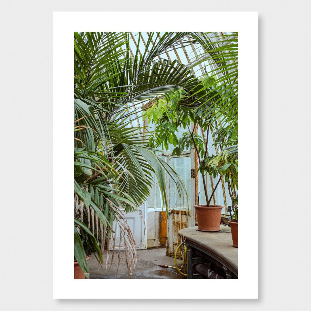 Botanical Photographic Print by Amy Wybrow