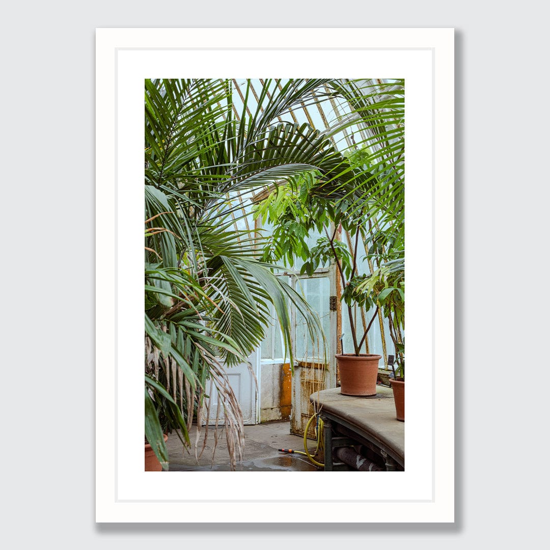 Botanical Photographic Print by Amy Wybrow