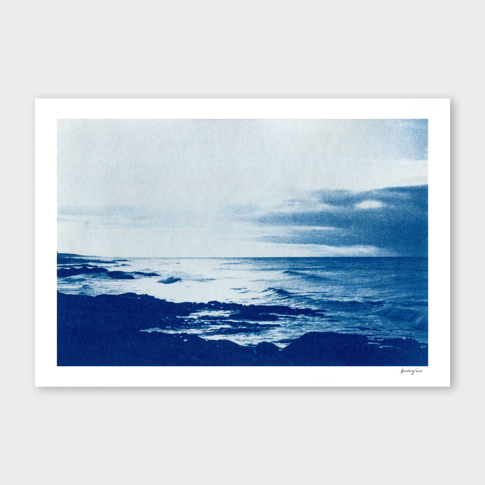 Bull Creek, Dunedin Cyanotype by Sophia Jenny