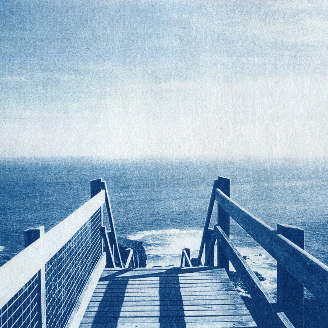 Cape Schanck, Mornington Peninsula Cyanotype by Sophia Jenny