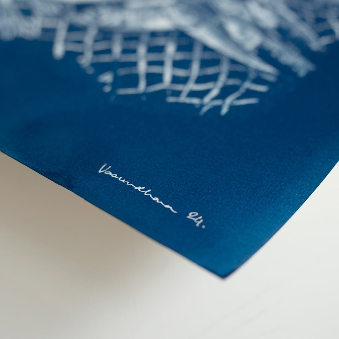 Catch of the Day Cyanotype Original Artwork by Vasundhara Singh