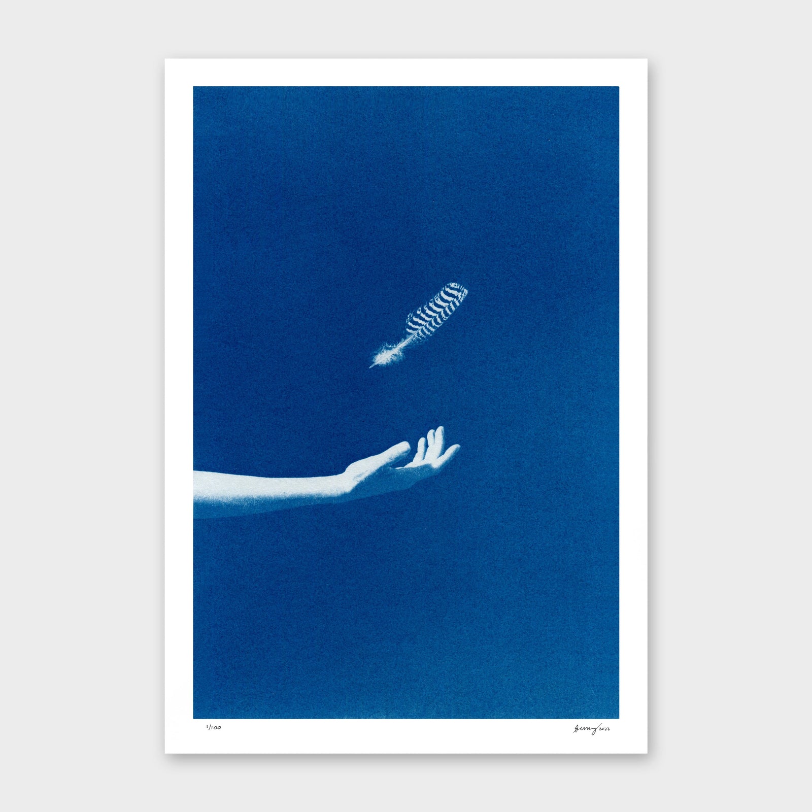 Chiaroscuro Feathers 01 Limited Edition Cyanotype by Sophia Jenny