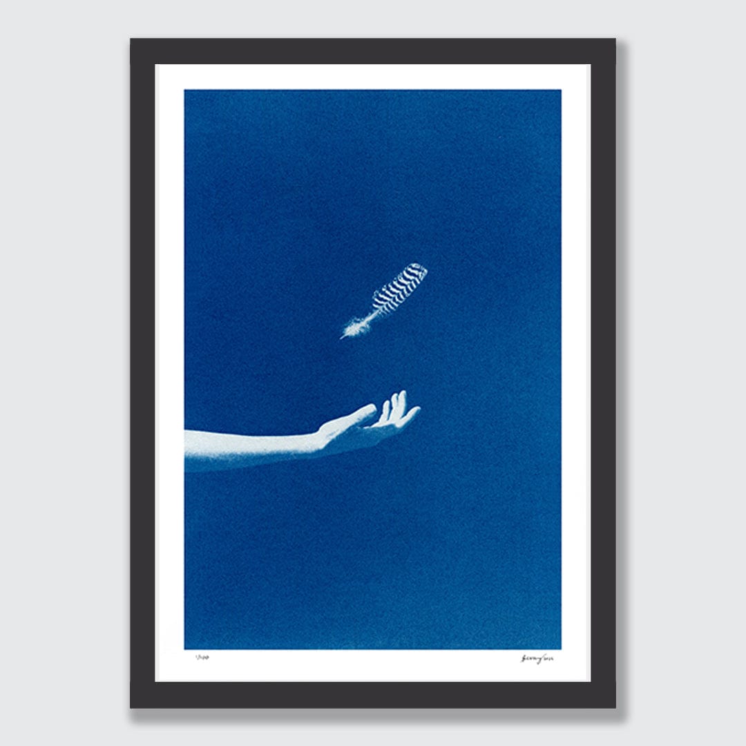 Chiaroscuro Feathers 01 Limited Edition Cyanotype by Sophia Jenny
