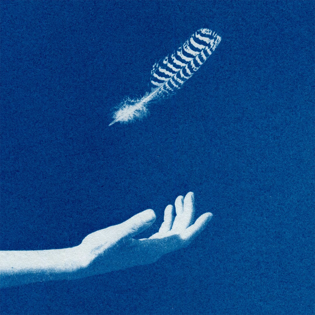 Chiaroscuro Feathers 01 Limited Edition Cyanotype by Sophia Jenny