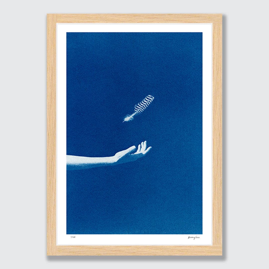 Chiaroscuro Feathers 01 Limited Edition Cyanotype by Sophia Jenny