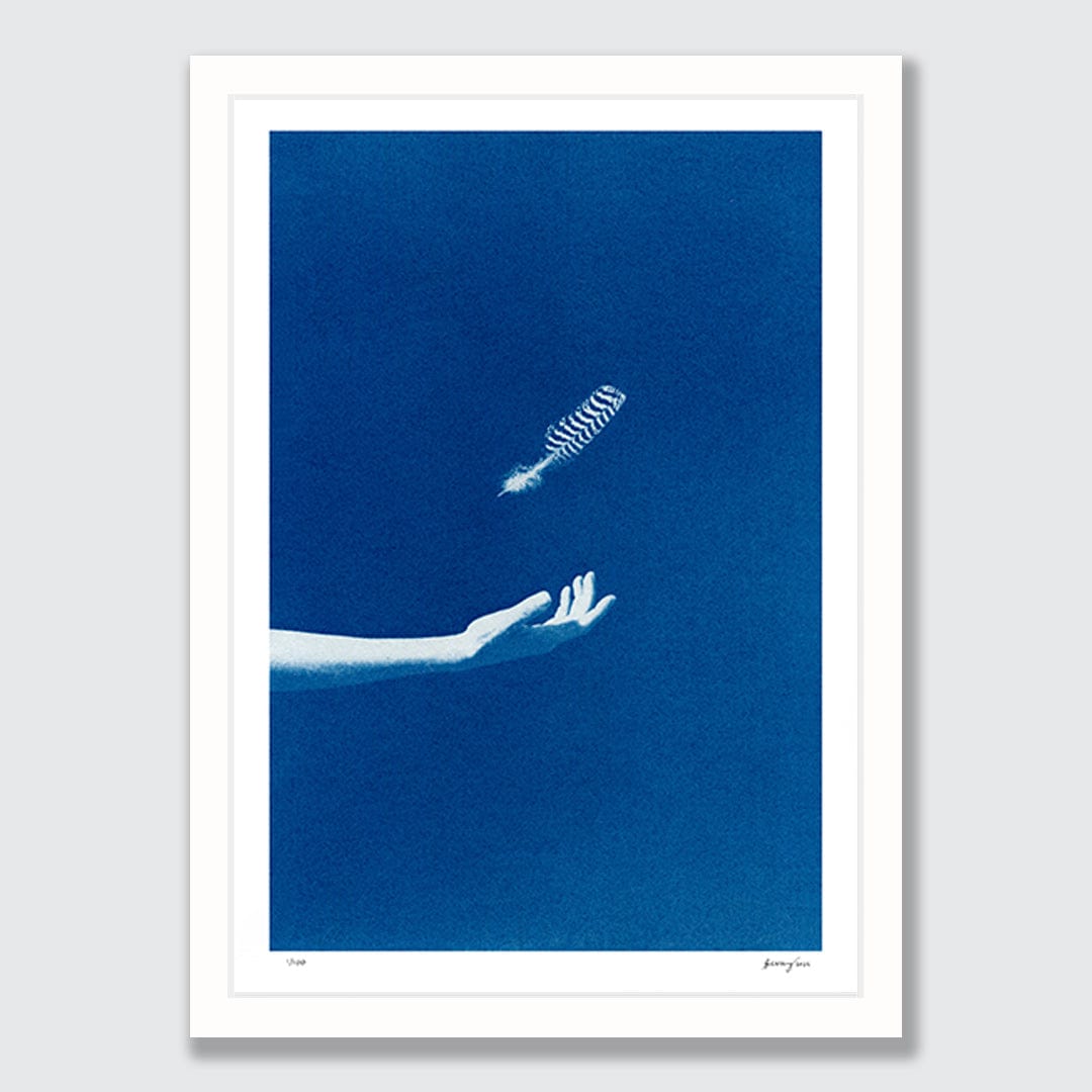 Chiaroscuro Feathers 01 Limited Edition Cyanotype by Sophia Jenny