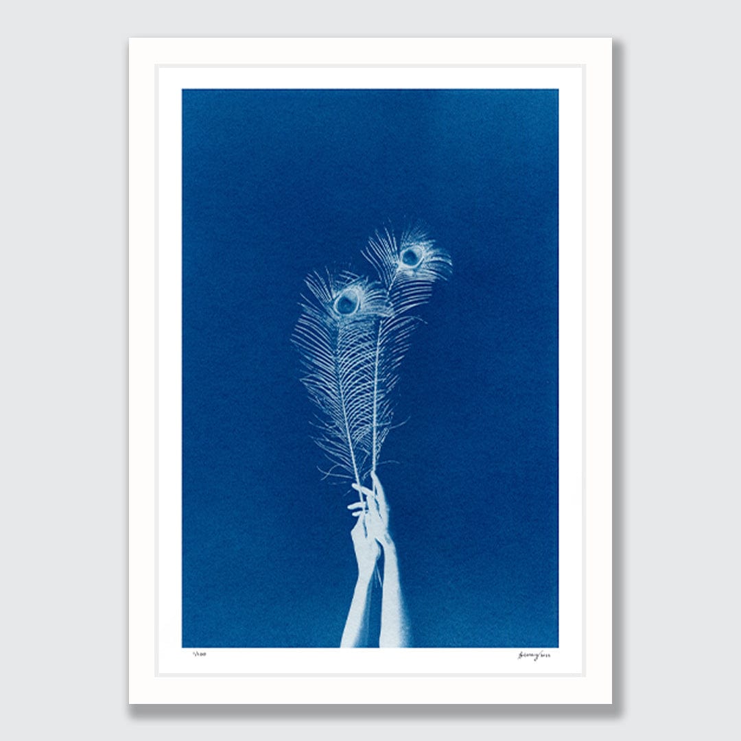 Chiaroscuro Feathers 02 Limited Edition Cyanotype by Sophia Jenny