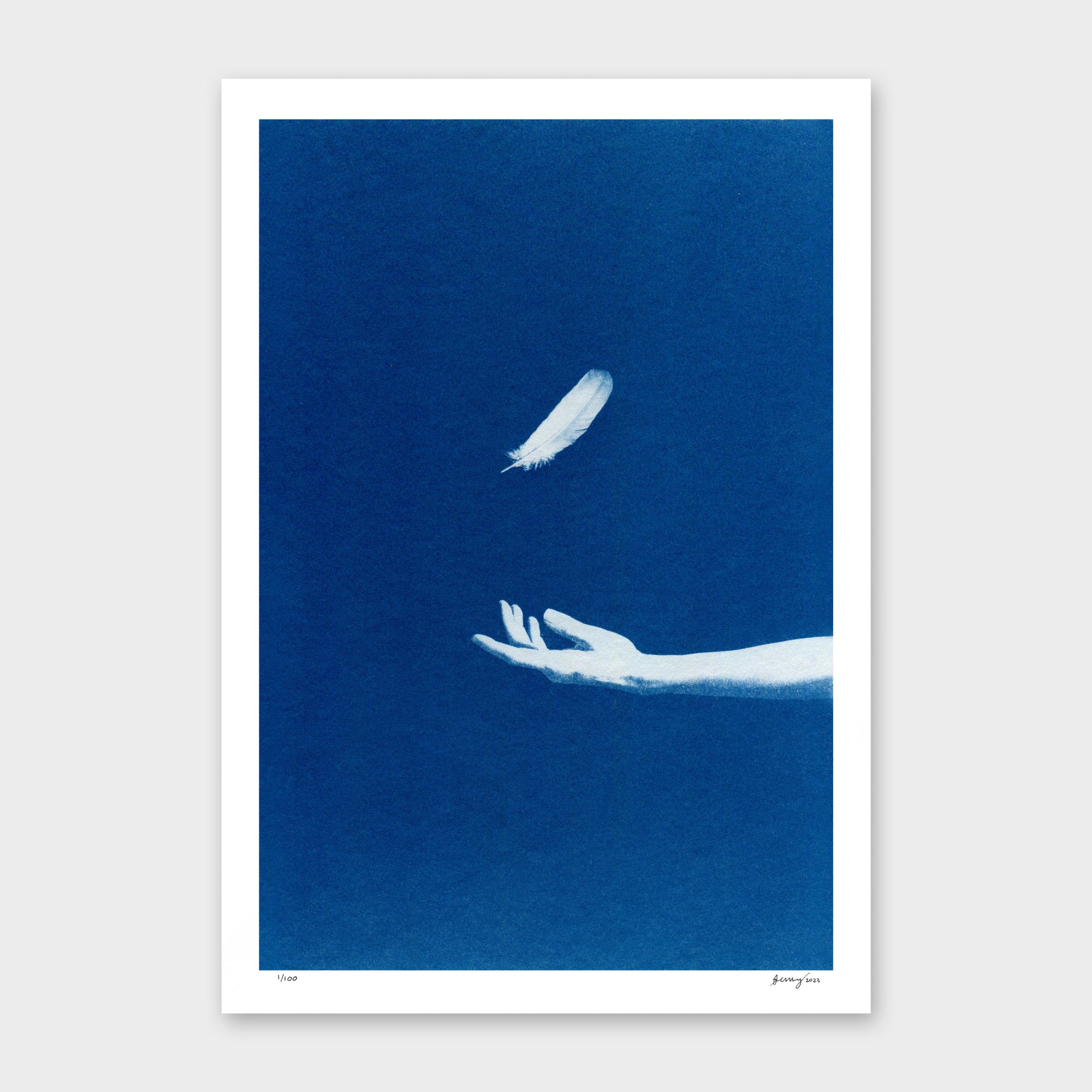 Chiaroscuro Feathers 03 Limited Edition Cyanotype by Sophia Jenny