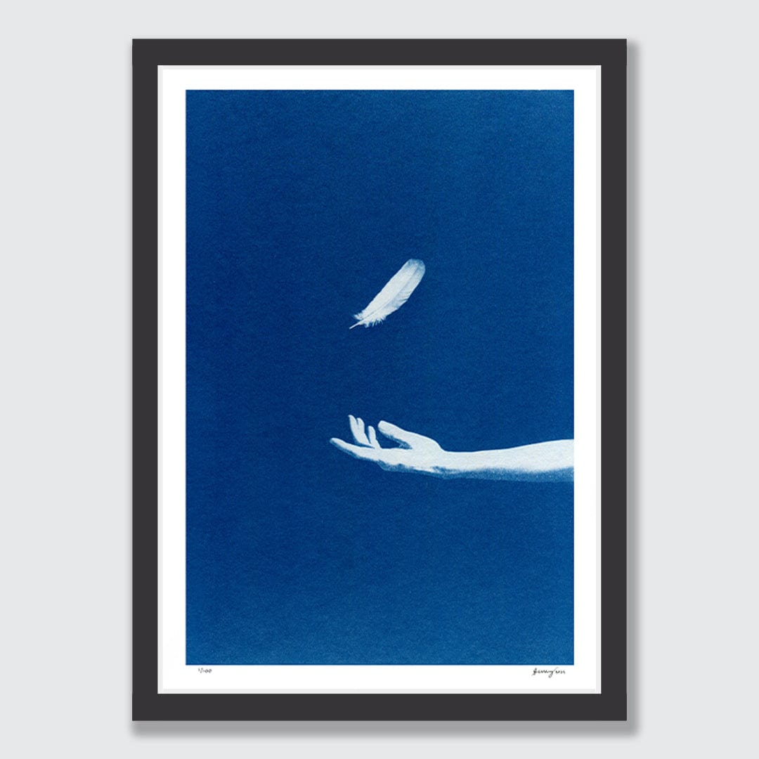 Chiaroscuro Feathers 03 Limited Edition Cyanotype by Sophia Jenny