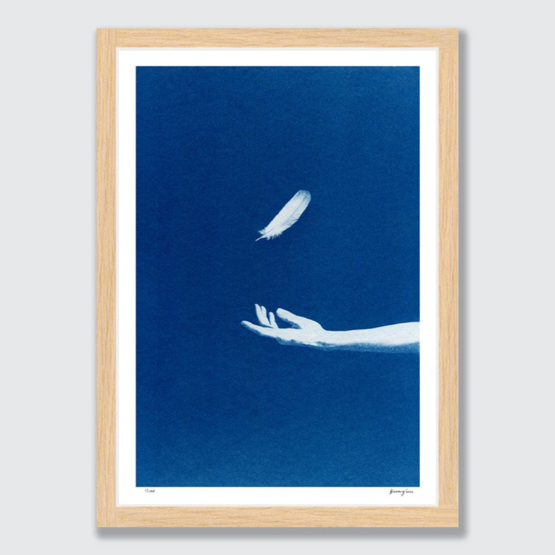 Chiaroscuro Feathers 03 Limited Edition Cyanotype by Sophia Jenny