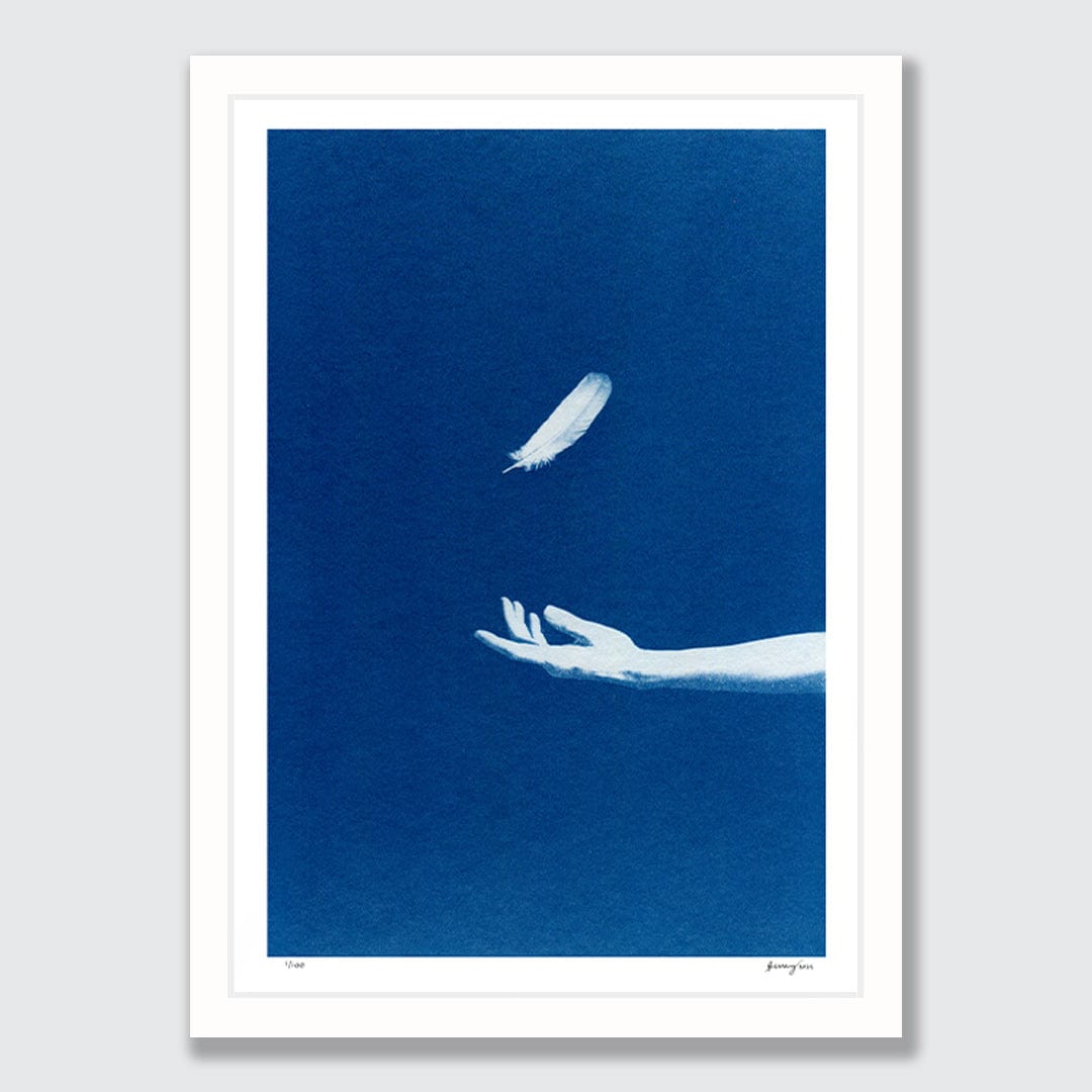 Chiaroscuro Feathers 03 Limited Edition Cyanotype by Sophia Jenny