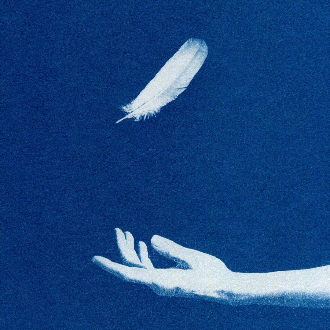 Chiaroscuro Feathers 03 Limited Edition Cyanotype by Sophia Jenny