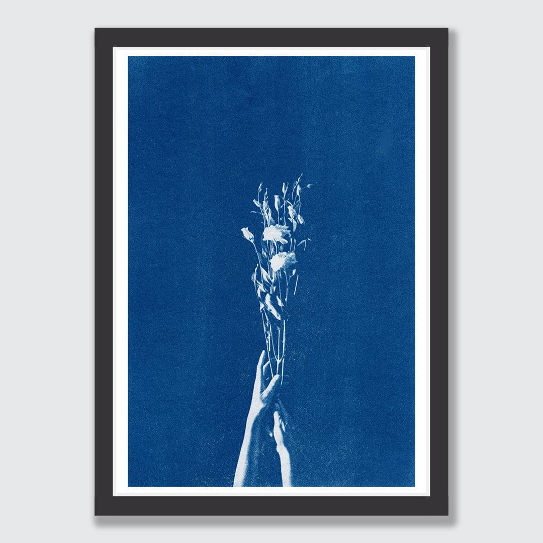 Chiaroscuro Lisianthus Limited Edition Cyanotype by Sophia Jenny