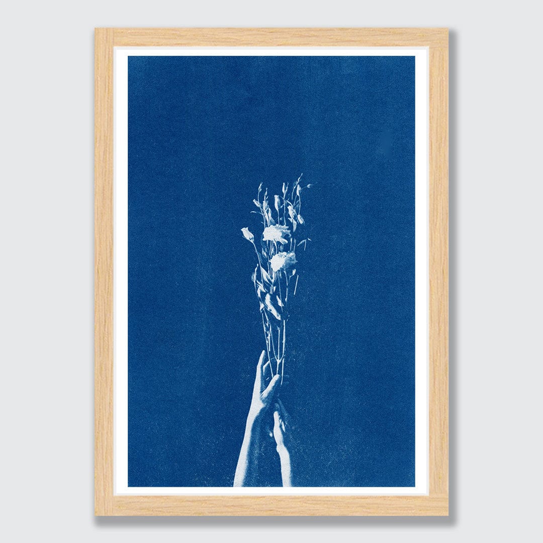 Chiaroscuro Lisianthus Limited Edition Cyanotype by Sophia Jenny