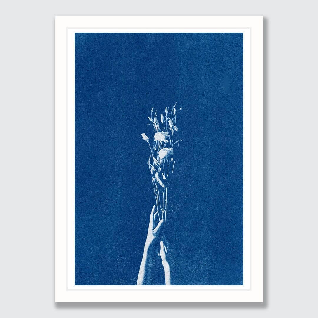 Chiaroscuro Lisianthus Limited Edition Cyanotype by Sophia Jenny