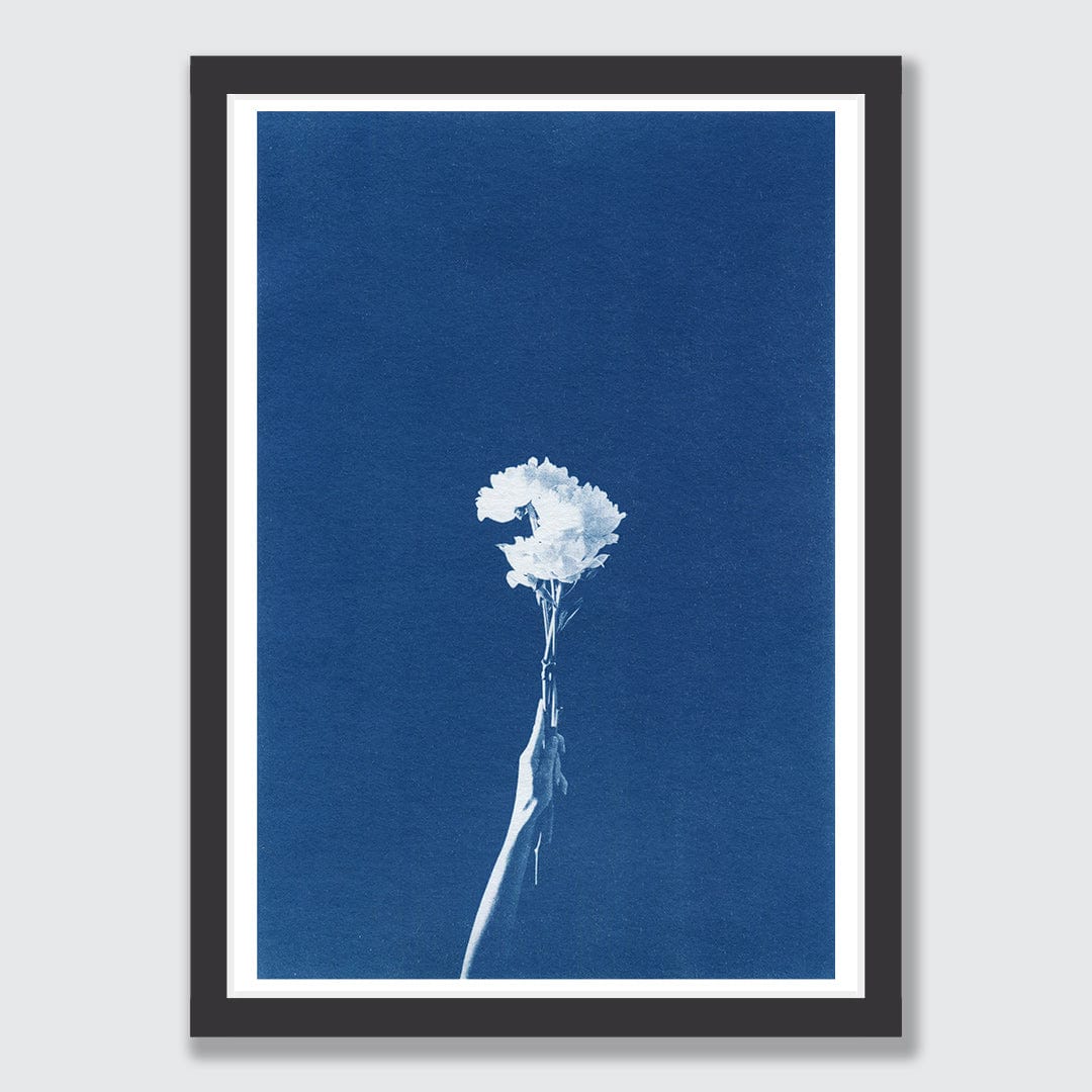 Chiaroscuro Peonies Limited Edition Cyanotype by Sophia Jenny