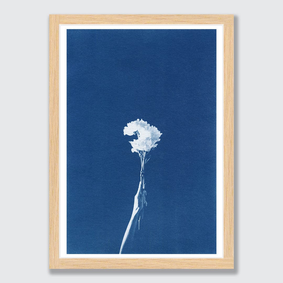 Chiaroscuro Peonies Limited Edition Cyanotype by Sophia Jenny