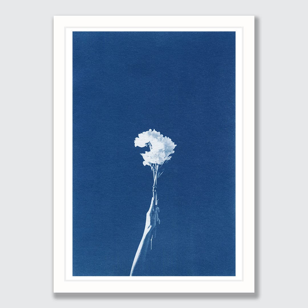 Chiaroscuro Peonies Limited Edition Cyanotype by Sophia Jenny