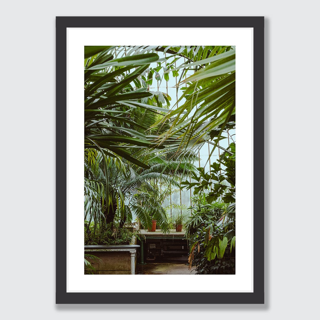 Conservancy Photographic Print by Amy Wybrow