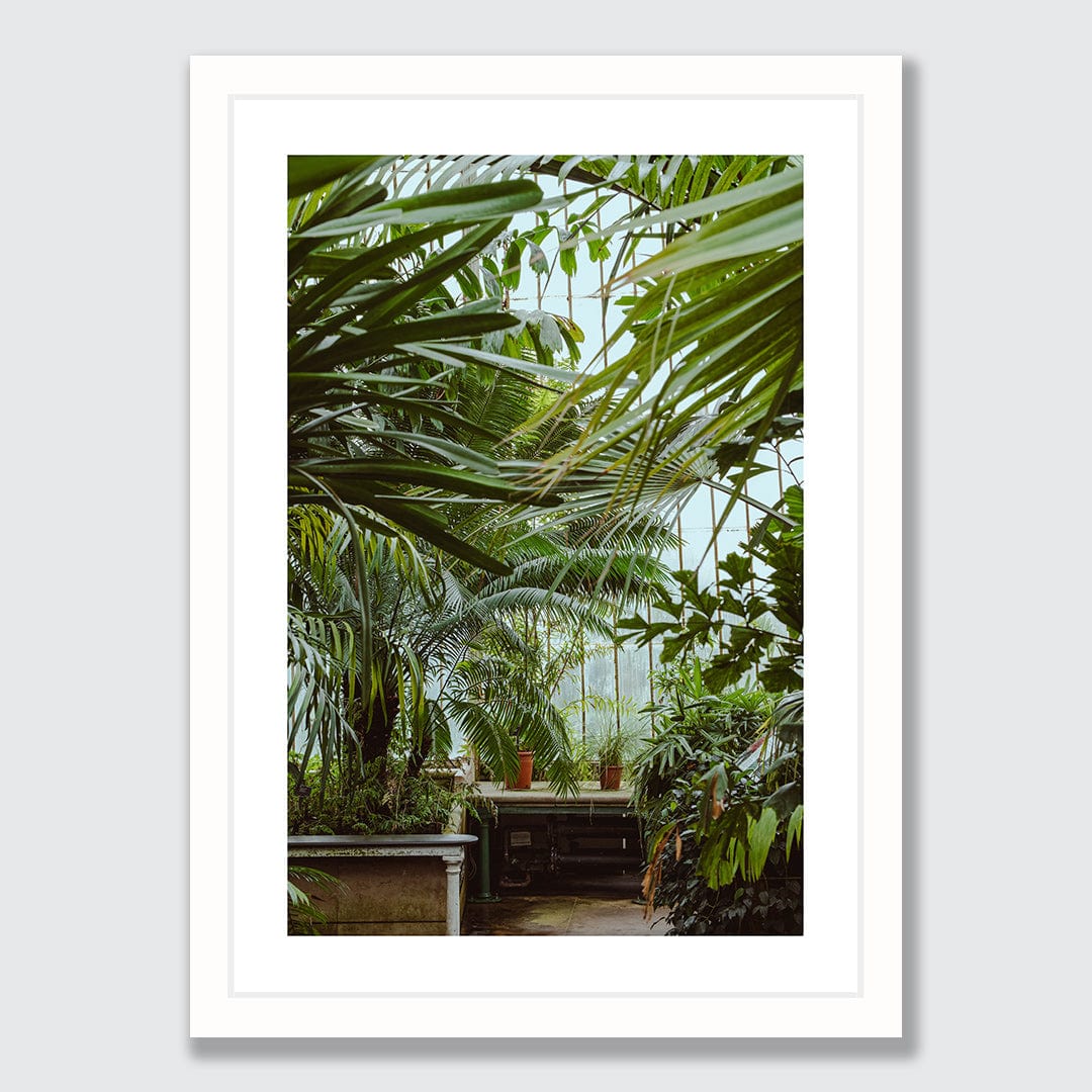 Conservancy Photographic Print by Amy Wybrow