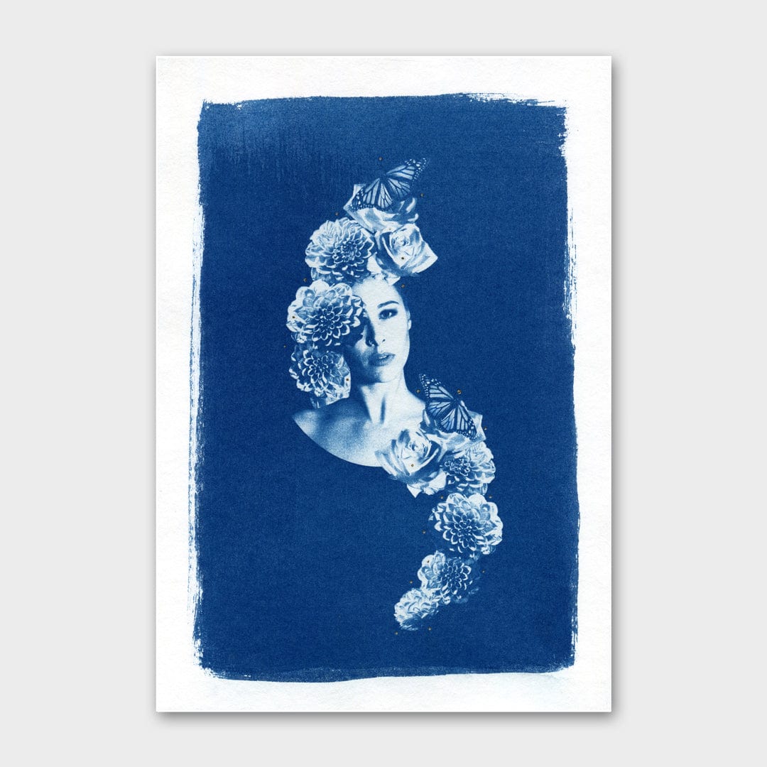 Cornucopia Monarch Limited Edition Cyanotype by Sophia Jenny