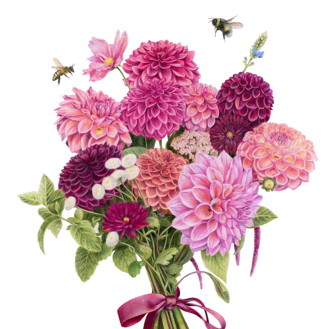 Dahlia Bouquet Art Print by Olivia Bezet