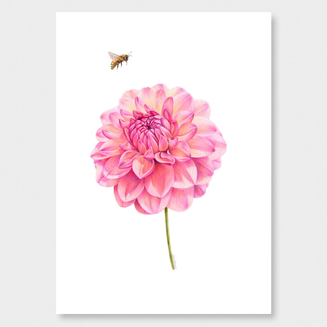 Dahlia and Bee Art Print by Olivia Bezet