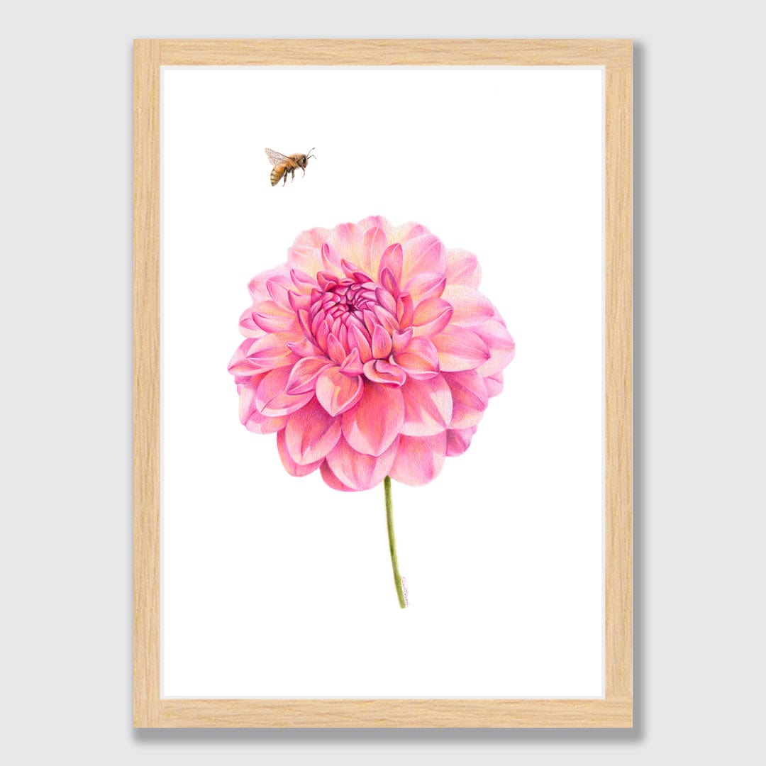 Dahlia and Bee Art Print by Olivia Bezet
