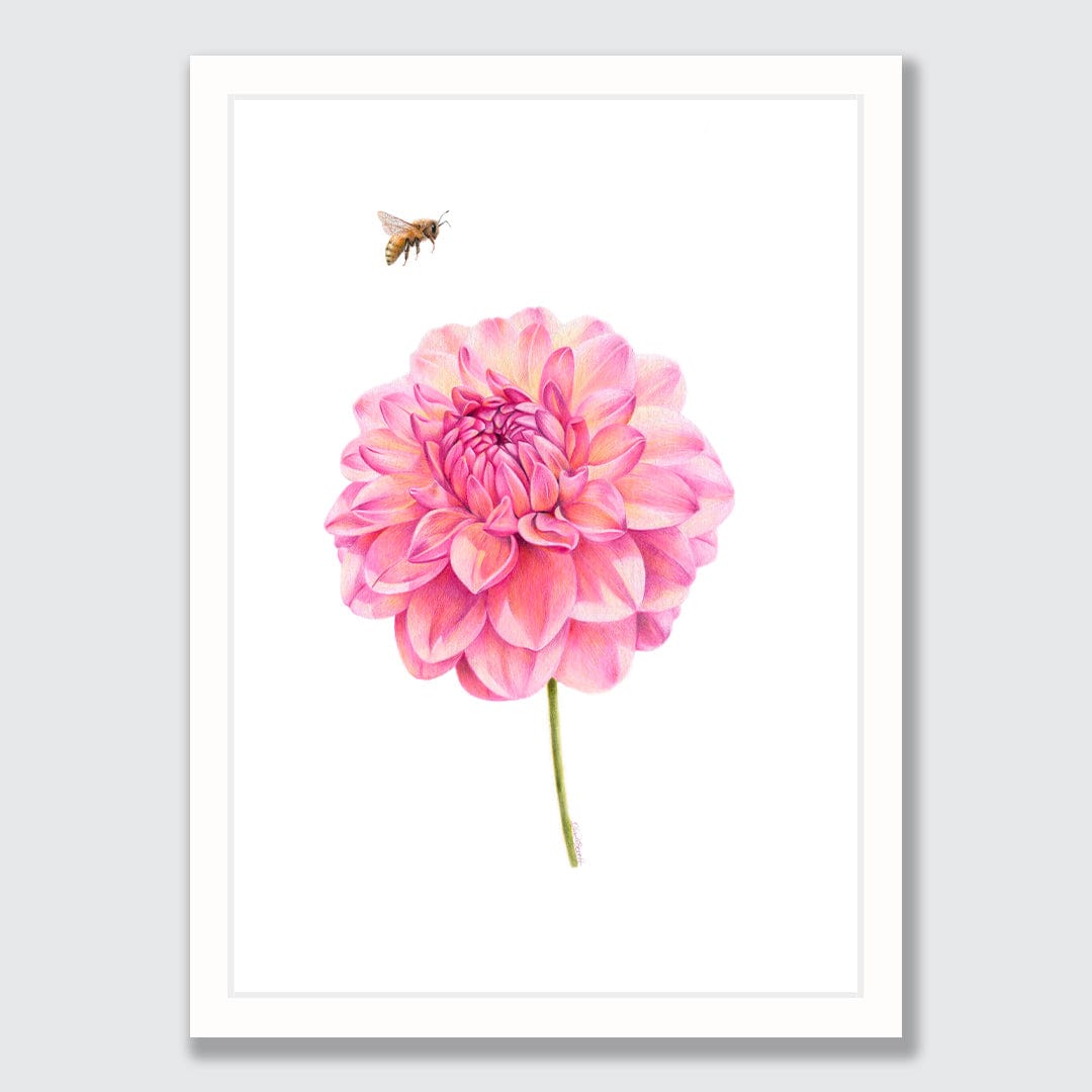 Dahlia and Bee Art Print by Olivia Bezet