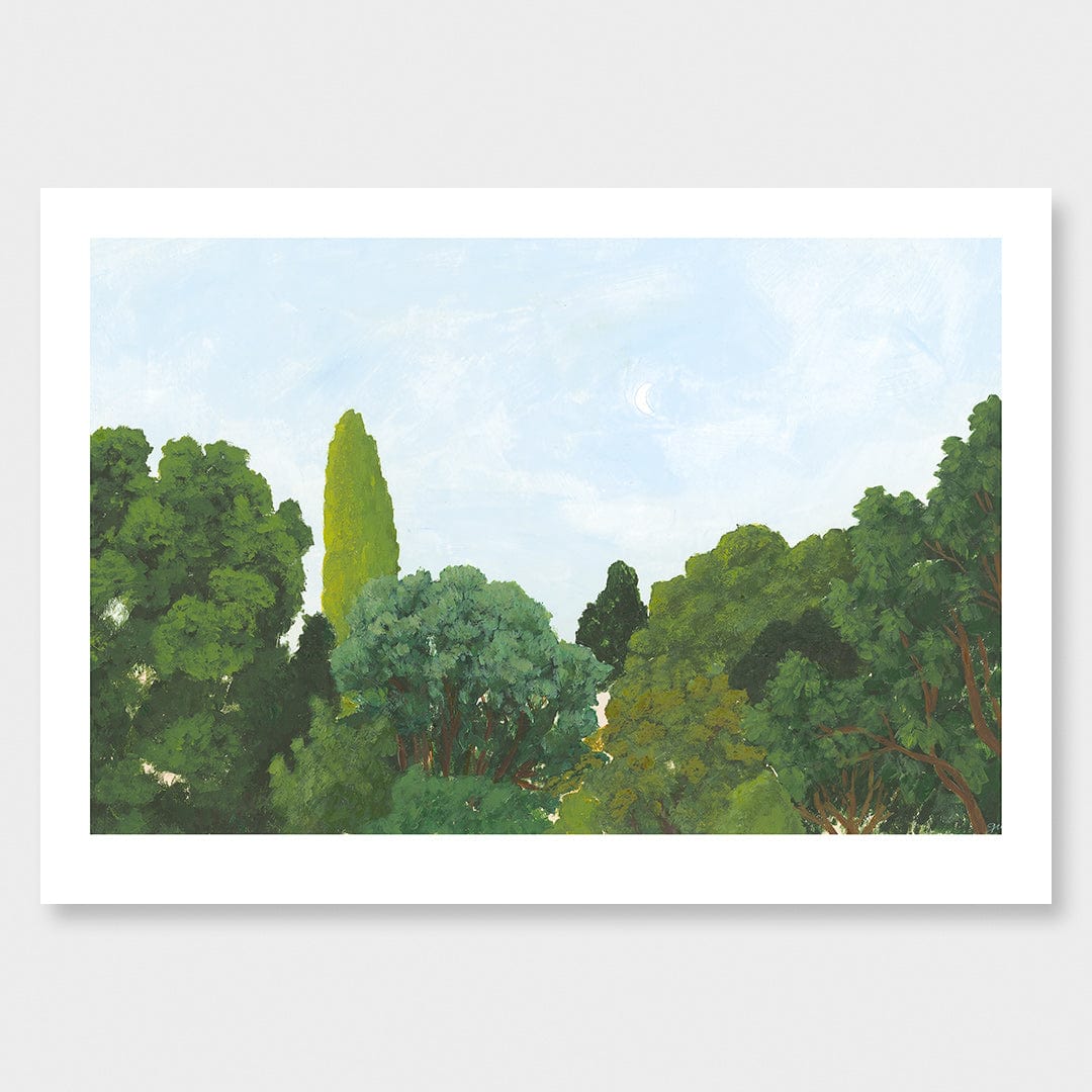 Summer Tree Tops Art Print by Grace Wilkinson