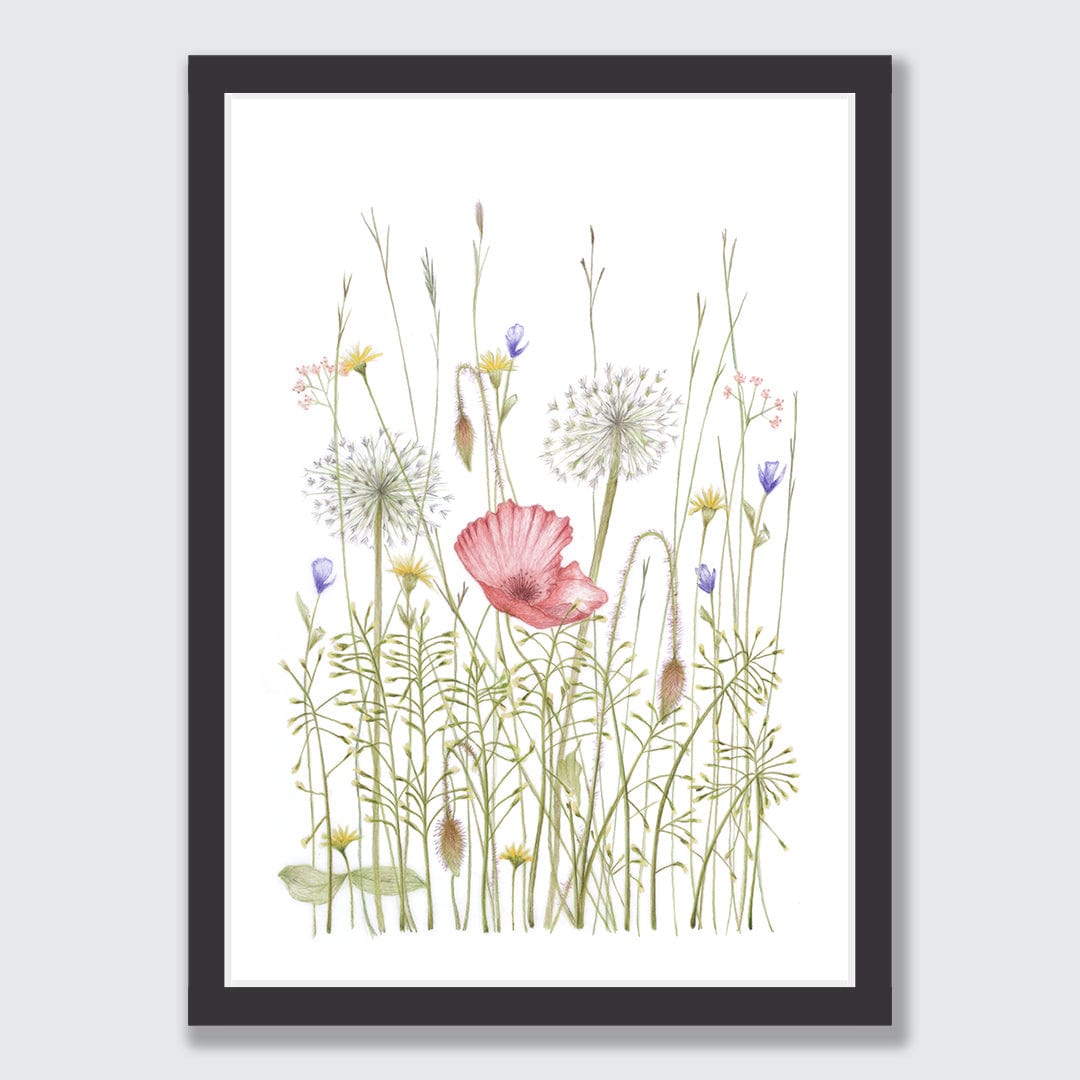 Summer Meadows Limited Edition Art Print by Nanda Rammers