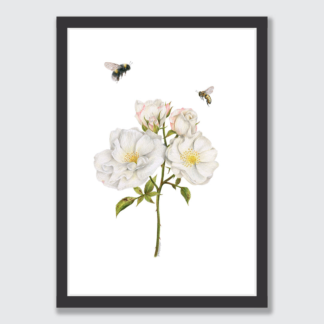 Roses and Bees Art Print by Olivia Bezett