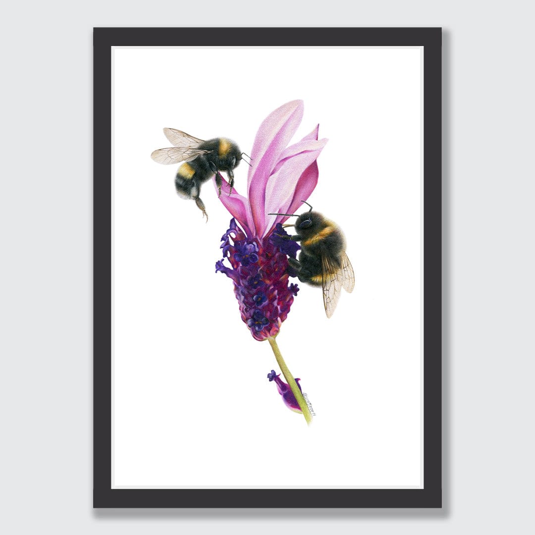 Bees on Lavender Art Print by Olivia Bezett