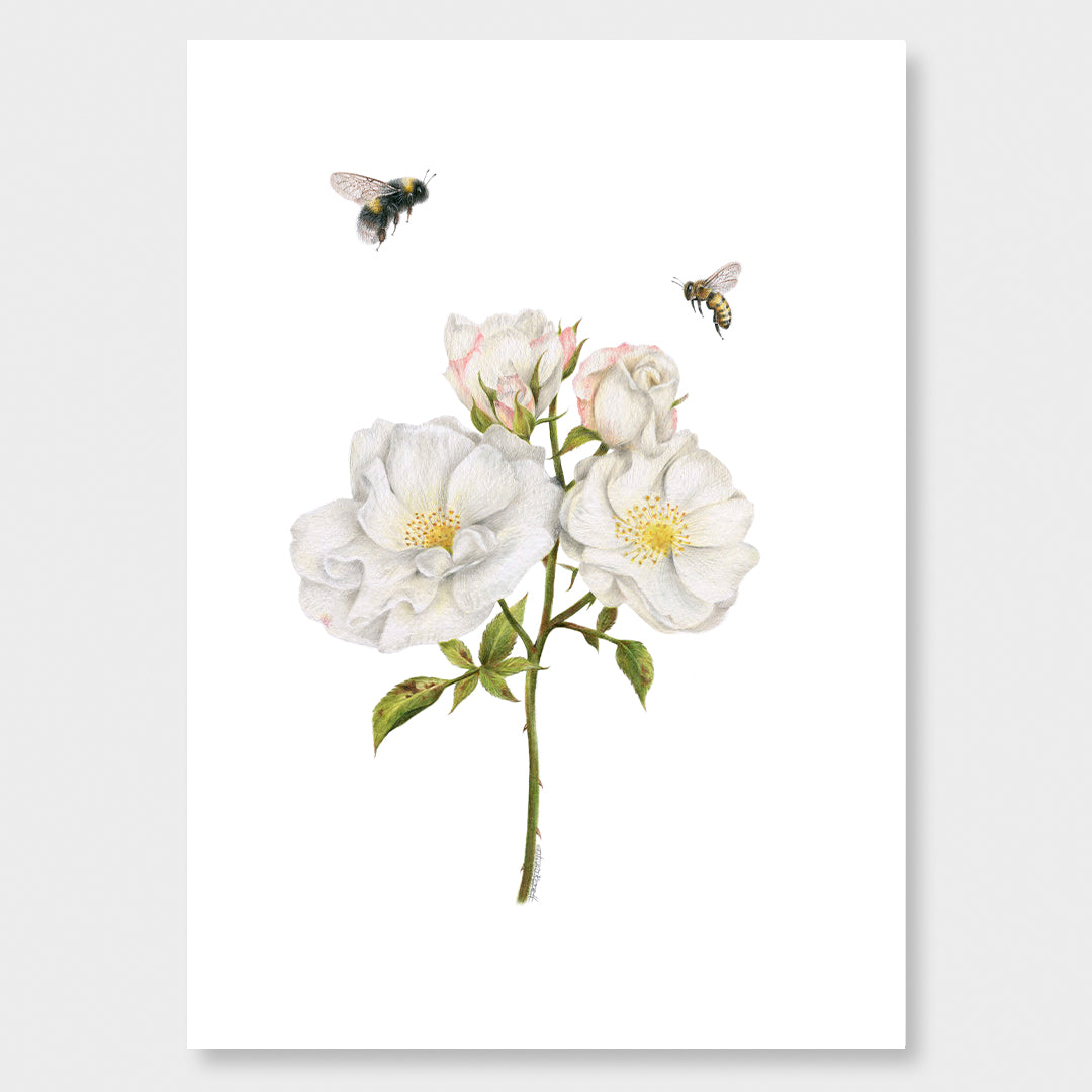 Roses and Bees Art Print by Olivia Bezett