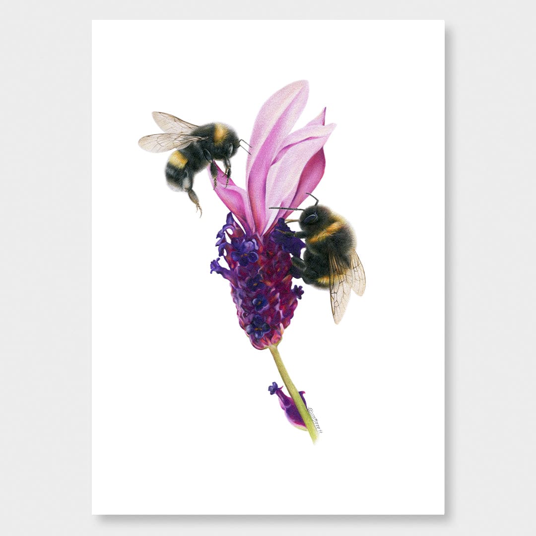 Bees on Lavender Art Print by Olivia Bezett