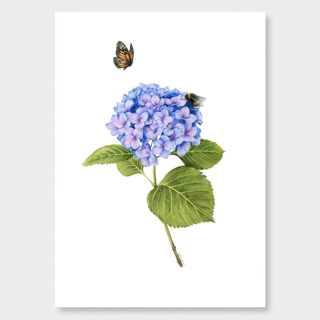 Hydrangea, Bee and Butterfly Art Print by Olivia Bezett