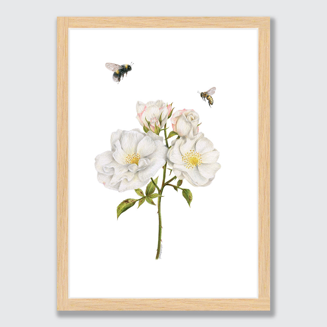 Roses and Bees Art Print by Olivia Bezett