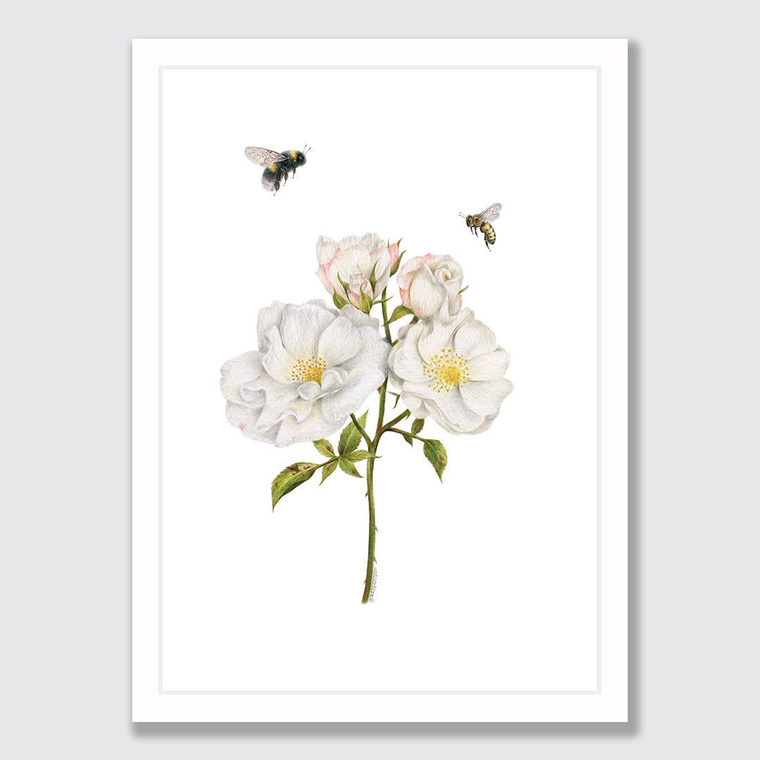 Roses and Bees Art Print by Olivia Bezett