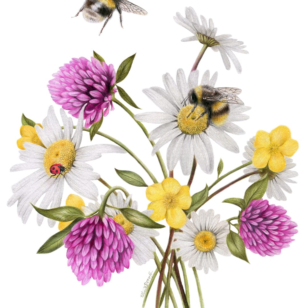 Wildflower Bees Art Print by Olivia Bezett